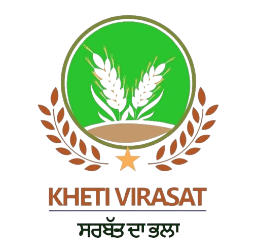 WhatsApp_Image_2026-01-09_at_5.33.01_PM-removebg-preview-removebg-preview